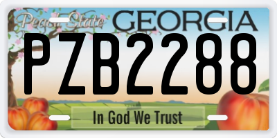 GA license plate PZB2288