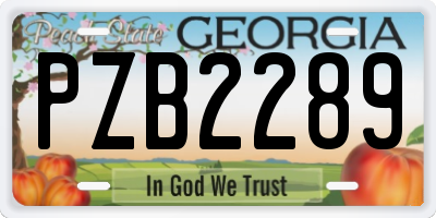 GA license plate PZB2289