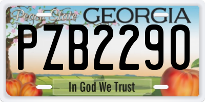 GA license plate PZB2290
