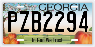 GA license plate PZB2294