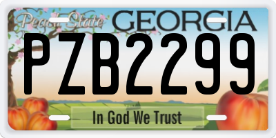GA license plate PZB2299