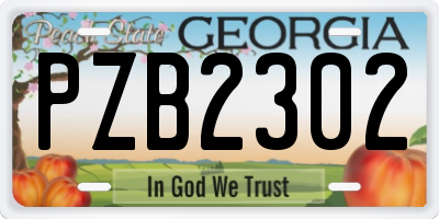 GA license plate PZB2302