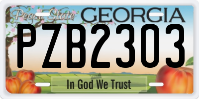 GA license plate PZB2303