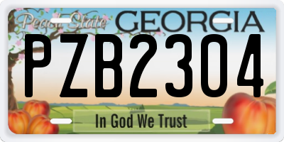 GA license plate PZB2304