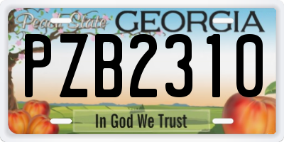 GA license plate PZB2310