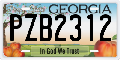 GA license plate PZB2312