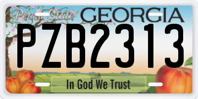GA license plate PZB2313