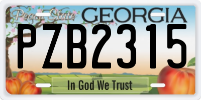 GA license plate PZB2315