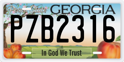 GA license plate PZB2316