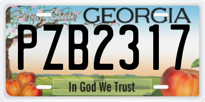 GA license plate PZB2317