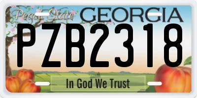 GA license plate PZB2318