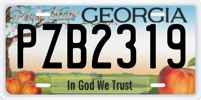 GA license plate PZB2319