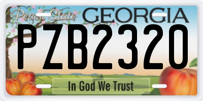 GA license plate PZB2320