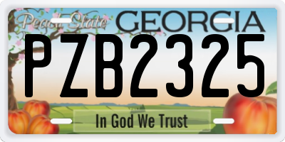 GA license plate PZB2325