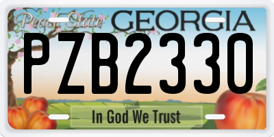 GA license plate PZB2330