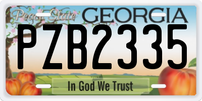 GA license plate PZB2335