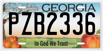 GA license plate PZB2336