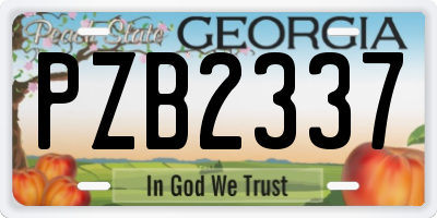 GA license plate PZB2337