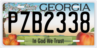 GA license plate PZB2338