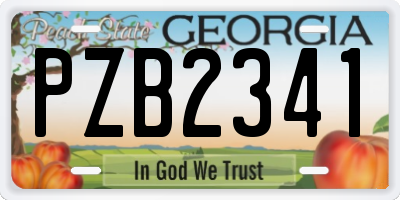 GA license plate PZB2341