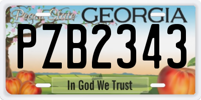 GA license plate PZB2343