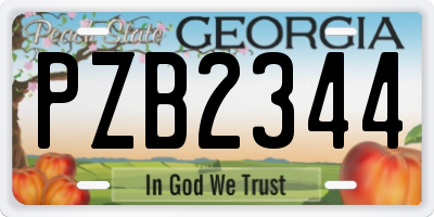 GA license plate PZB2344