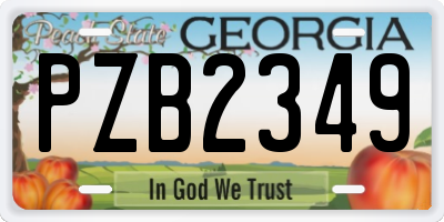 GA license plate PZB2349