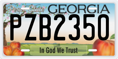 GA license plate PZB2350