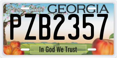 GA license plate PZB2357