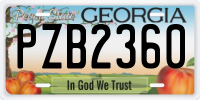 GA license plate PZB2360