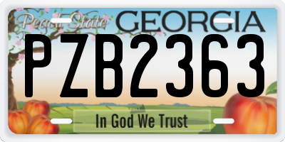 GA license plate PZB2363