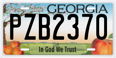 GA license plate PZB2370