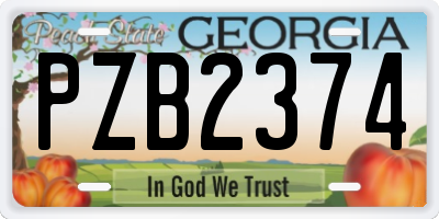 GA license plate PZB2374