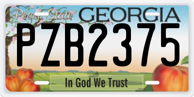 GA license plate PZB2375
