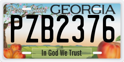 GA license plate PZB2376