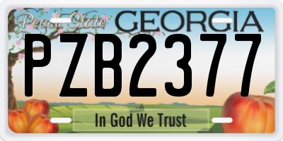 GA license plate PZB2377