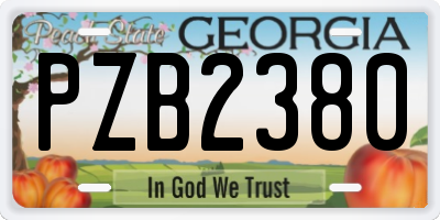GA license plate PZB2380
