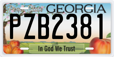 GA license plate PZB2381