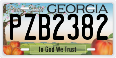 GA license plate PZB2382