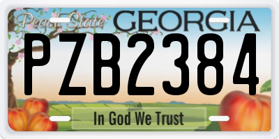 GA license plate PZB2384