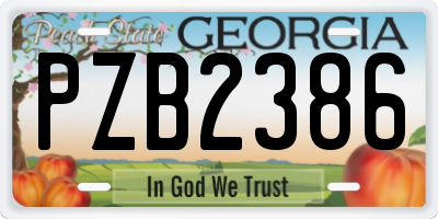 GA license plate PZB2386