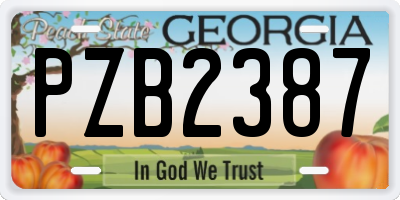GA license plate PZB2387