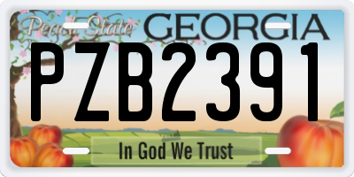 GA license plate PZB2391