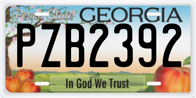 GA license plate PZB2392