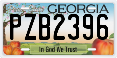 GA license plate PZB2396