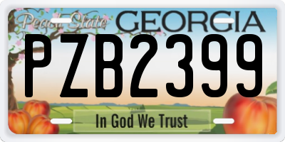 GA license plate PZB2399