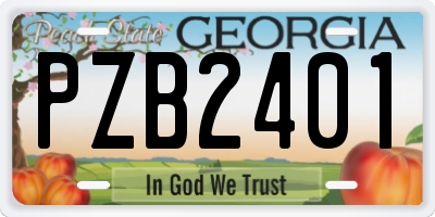 GA license plate PZB2401