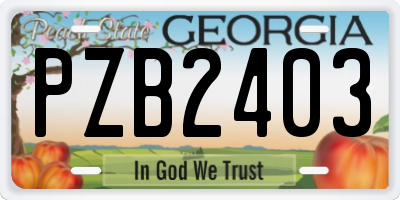 GA license plate PZB2403