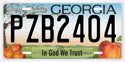 GA license plate PZB2404