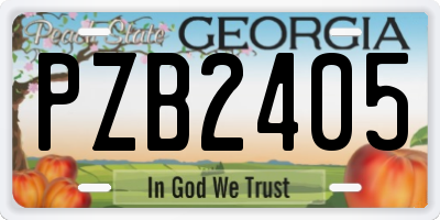 GA license plate PZB2405